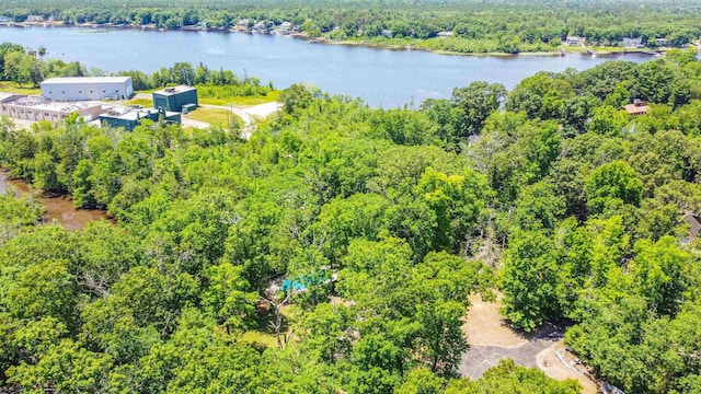 116 Post Rd, Mays Landing, NJ 08330 - aerial view of a forest and a large body of water
