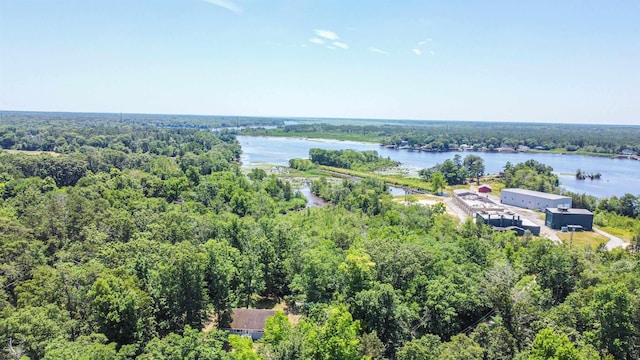 116 Post Rd, Mays Landing, NJ 08330 - aerial view of a heavily wooded area and a large body of water