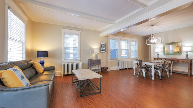 16 N Nashville Ave, Ventnor, NJ 08406 - living area with radiator, wood finished floors, ornamental molding, a chandelier, and plenty of natural light