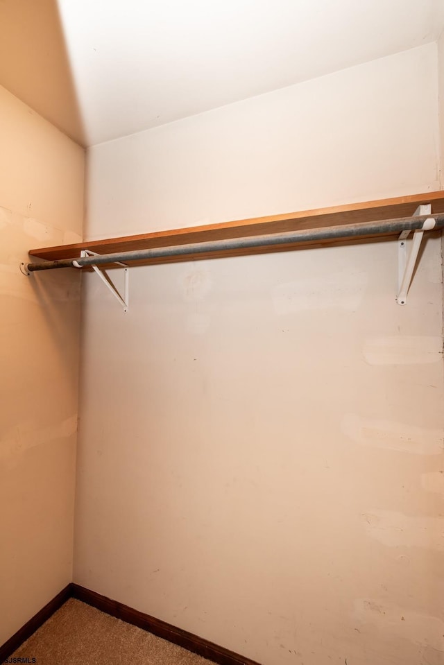 3821 Brookhaven Dr, Vineland, NJ 08361 - walk in closet with carpet floors