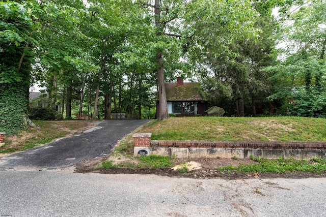3821 Brookhaven Dr, Vineland, NJ 08361 - view of front facade with a chimney, driveway, and a front yard