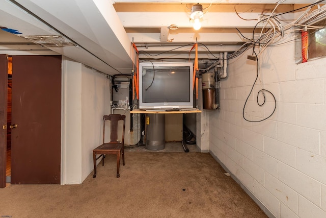 3821 Brookhaven Dr, Vineland, NJ 08361 - unfinished below grade area featuring a central vacuum unit and carpet flooring