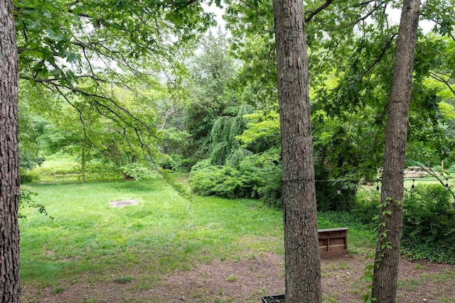 3821 Brookhaven Dr, Vineland, NJ 08361 - view of yard with a view of trees