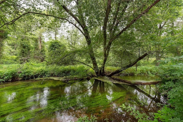 3821 Brookhaven Dr, Vineland, NJ 08361 - water view with a heavily wooded area