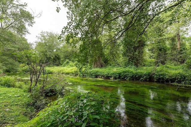 3821 Brookhaven Dr, Vineland, NJ 08361 - water view featuring a heavily wooded area