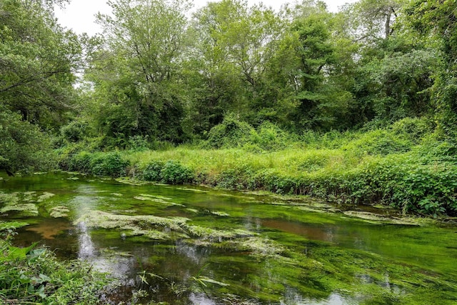 3821 Brookhaven Dr, Vineland, NJ 08361 - water view featuring a forest