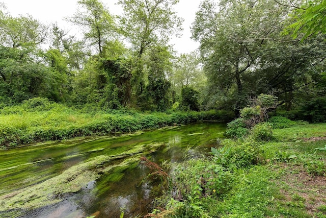 3821 Brookhaven Dr, Vineland, NJ 08361 - water view with a forest