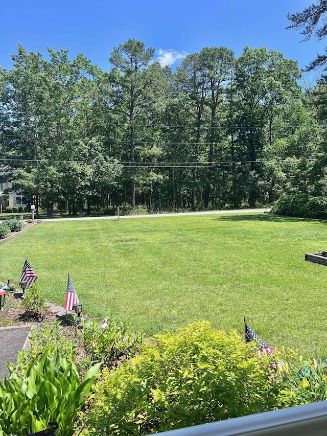 5323 S Carolina Ave, Mullica Township, NJ 08215 - view of grassy yard