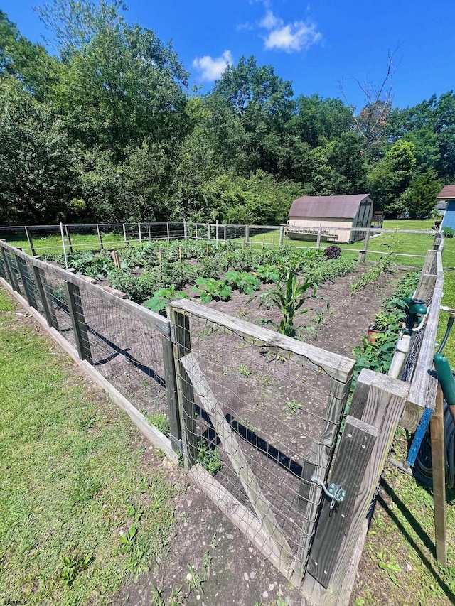 5323 S Carolina Ave, Mullica Township, NJ 08215 - view of yard featuring a garden and a storage shed