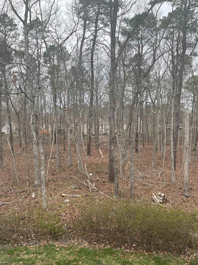 41 Arapaho Pl Unit 41, Galloway Township, NJ 08205 - view of nature