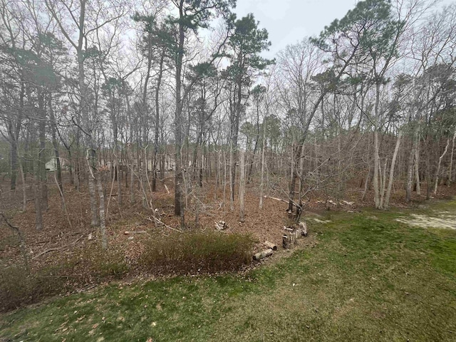 41 Arapaho Pl Unit 41, Galloway Township, NJ 08205 - view of yard featuring a view of trees