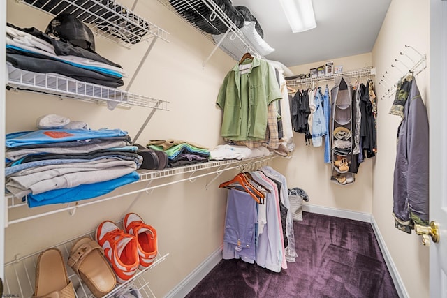 33 N Jefferson Ave, Margate, NJ 08402 - walk in closet with carpet flooring