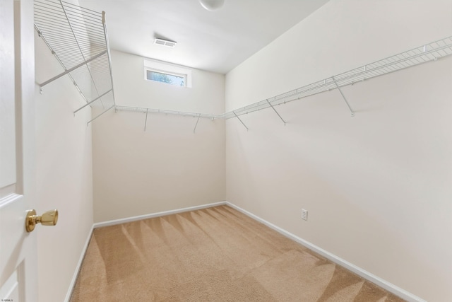 95 Knights Bridge Way, Mays Landing, NJ 08402 - walk in closet with light colored carpet