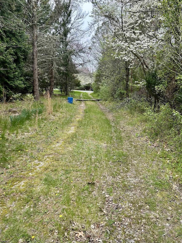 733 W Duerer St, Galloway Township, NJ 08215 - view of yard