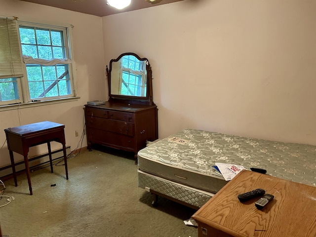 733 W Duerer St, Galloway Township, NJ 08215 - bedroom featuring carpet flooring and baseboard heating