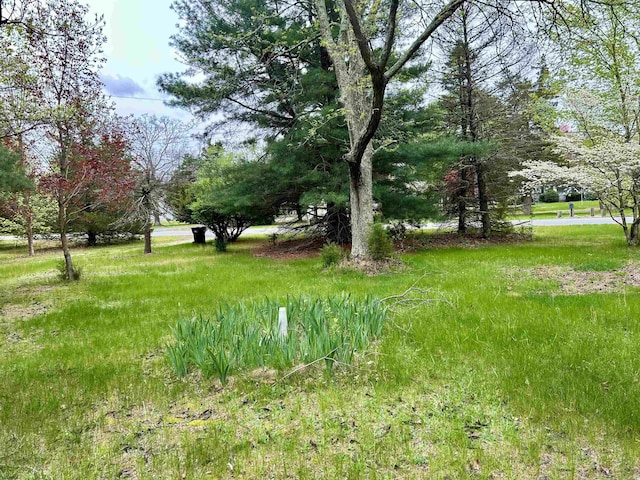 733 W Duerer St, Galloway Township, NJ 08215 - view of yard