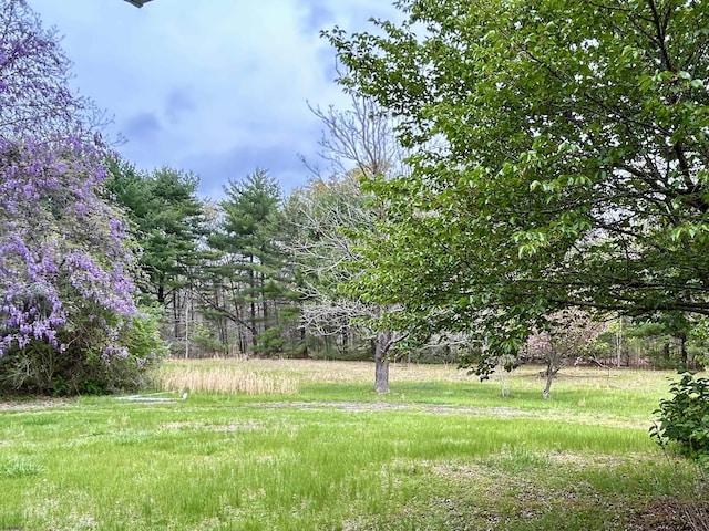 733 W Duerer St, Galloway Township, NJ 08215 - view of yard