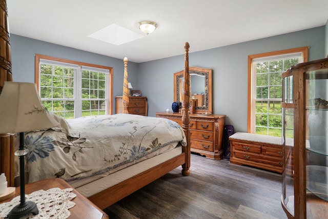 10 Hillside Ave, New Gretna, NJ 08087 - bedroom with a skylight, multiple windows, and dark wood finished floors
