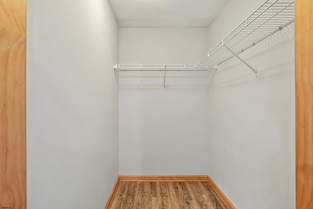 10 Hillside Ave, New Gretna, NJ 08087 - spacious closet with wood finished floors