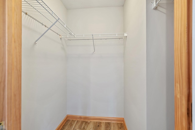 10 Hillside Ave, New Gretna, NJ 08087 - walk in closet featuring wood finished floors