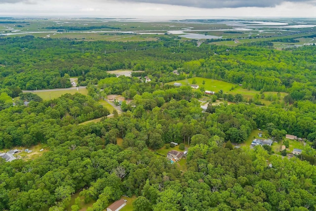 10 Hillside Ave, New Gretna, NJ 08087 - drone / aerial view of a forest