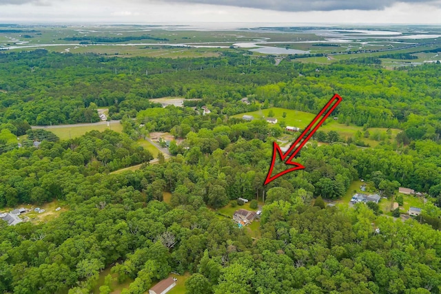 10 Hillside Ave, New Gretna, NJ 08087 - aerial view of a forest