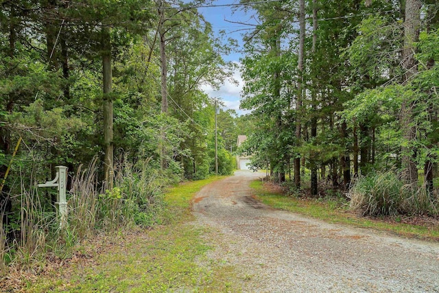 10 Hillside Ave, New Gretna, NJ 08087 - view of dirt / gravel driveway with a view of trees