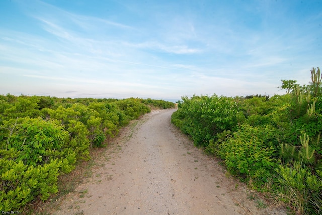 3801 Ocean Ave Unit 2, Brigantine, NJ 08203 - view of street featuring agricultural plots