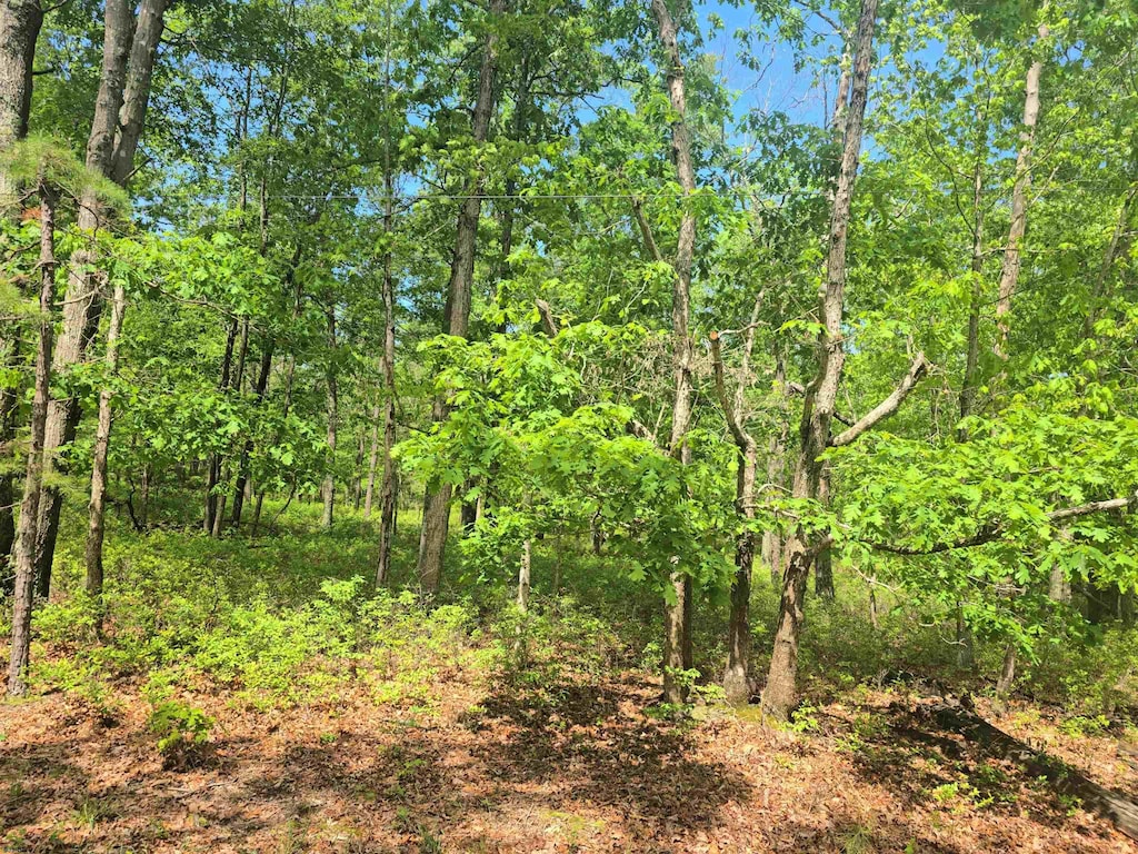 Cape May Ave, Mays Landing, NJ 08330