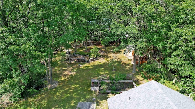 104 Locust Ave, Egg Harbor Township, NJ 08234 - view of green lawn featuring a vegetable garden