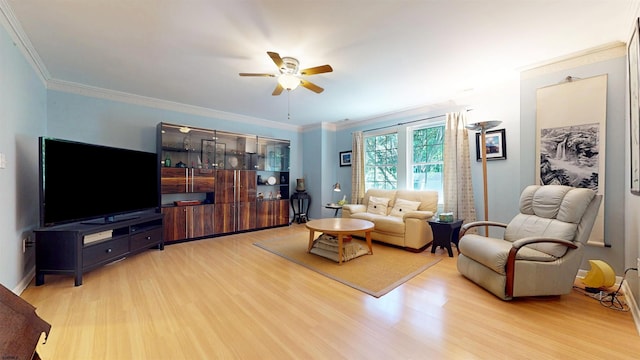 104 Locust Ave, Egg Harbor Township, NJ 08234 - living area with wood finished floors, a ceiling fan, and crown molding