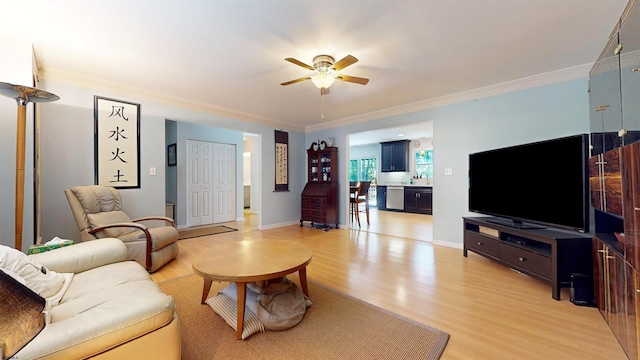 104 Locust Ave, Egg Harbor Township, NJ 08234 - living area with a ceiling fan, light wood-style floors, and crown molding