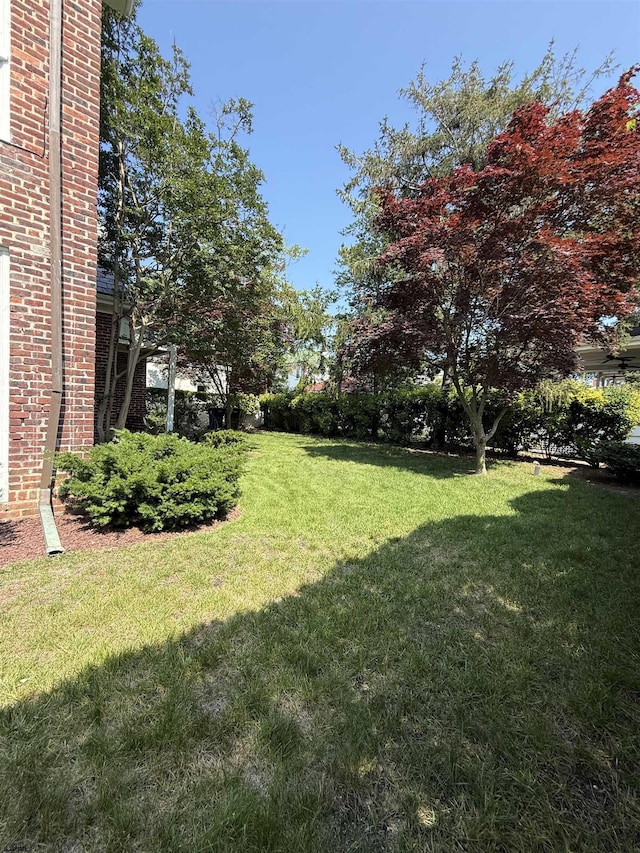 5904 Ventnor Ave, Ventnor, NJ 08406 - view of green lawn