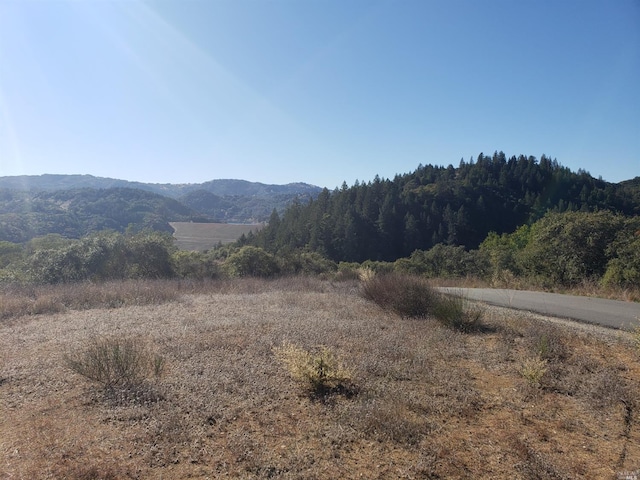 9685 Dry Creek Rd, Healdsburg CA, 95448 land for sale