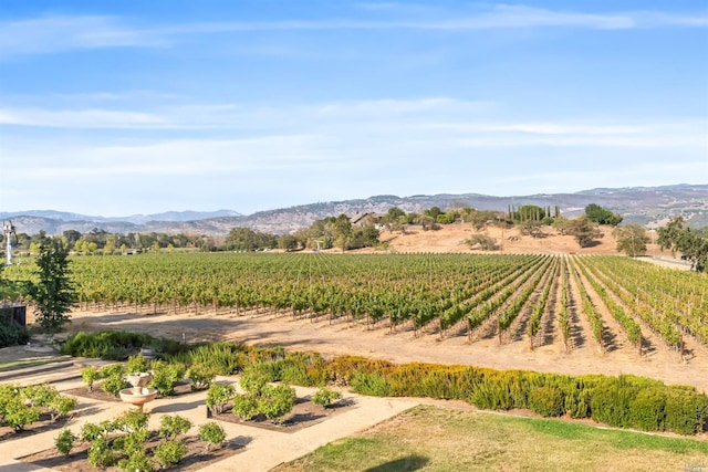 mountain view featuring a rural view