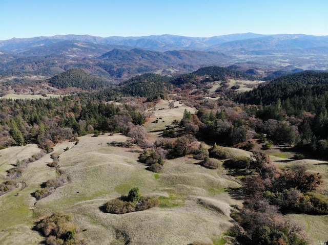 Listing photo 3 for 0 E W Rd, Covelo CA 95454