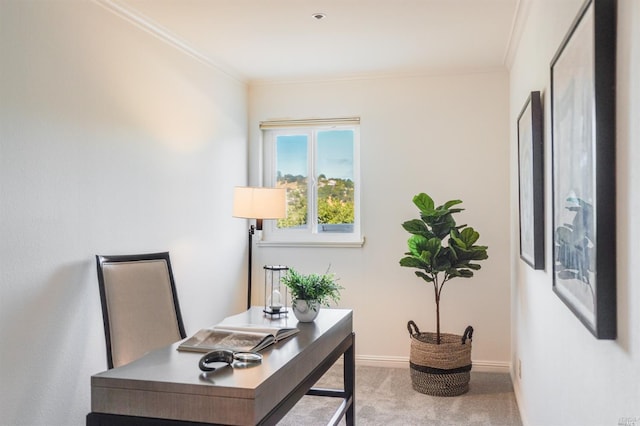 carpeted home office featuring crown molding