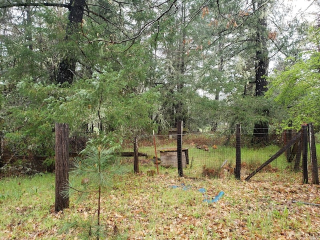 view of local wilderness