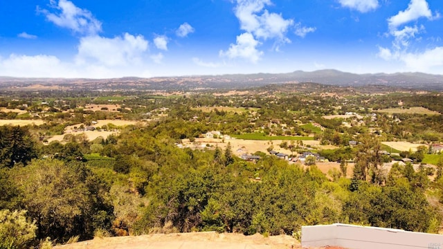 Listing photo 3 for 6111 Wild Horse Valley Rd, Napa CA 94558