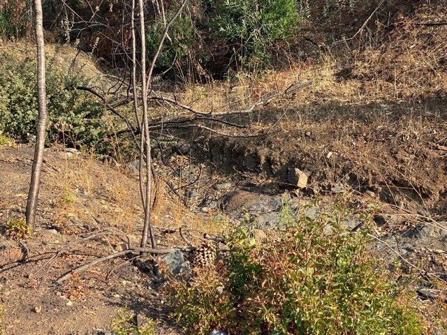 2455 Lower Chiles Valley Rd, Saint Helena, CA 94574