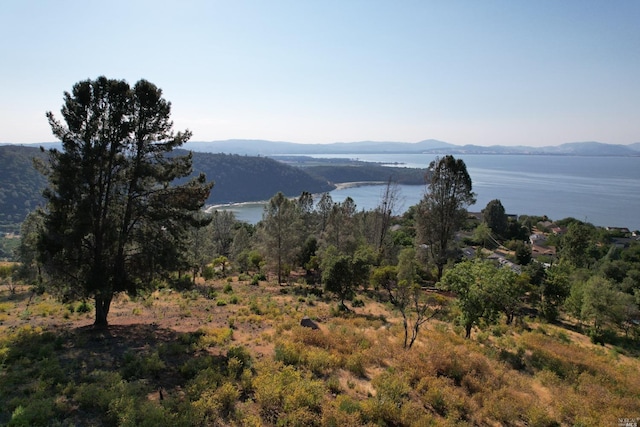 Listing photo 3 for 7130 Grande Vista Dr, Kelseyville CA 95451