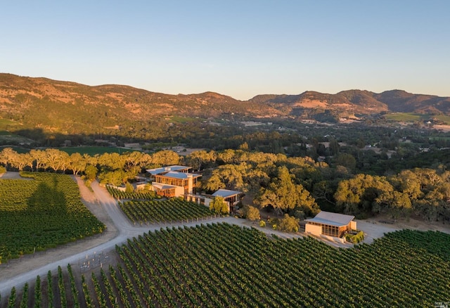 2181 N 3rd Ave, Napa, CA 94558 - bird's eye view with a mountain view and a rural view