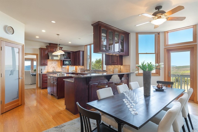 dining area with a healthy amount of sunlight, ceiling fan, and light wood-type flooring