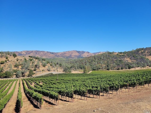 property view of mountains with a rural view