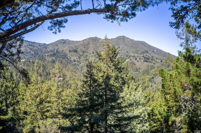 0 Washington Park Ave, Mill Valley CA, 94941 land for sale