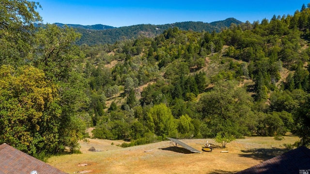 view of mountain feature