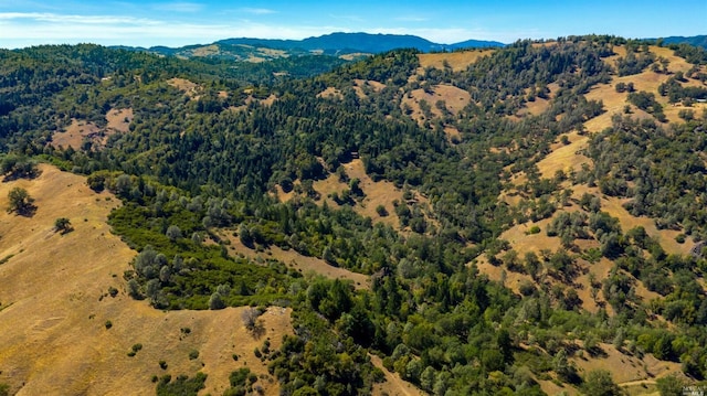 bird's eye view with a mountain view