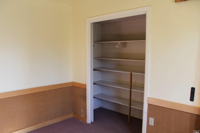 view of closet