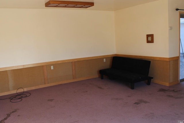 unfurnished room featuring carpet