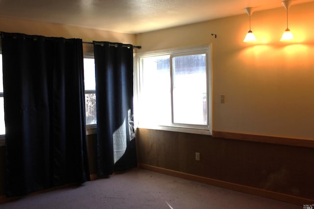 spare room featuring a healthy amount of sunlight and light colored carpet